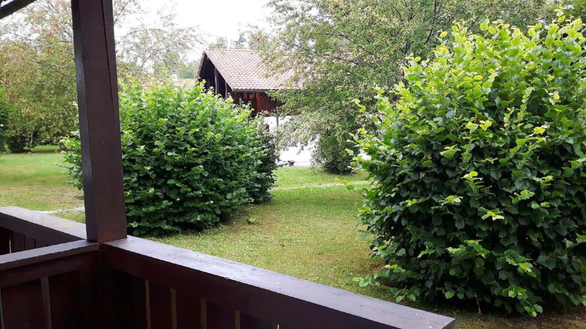Ferienhaus Virzi - Waldferiendorf Regen Luaran gambar