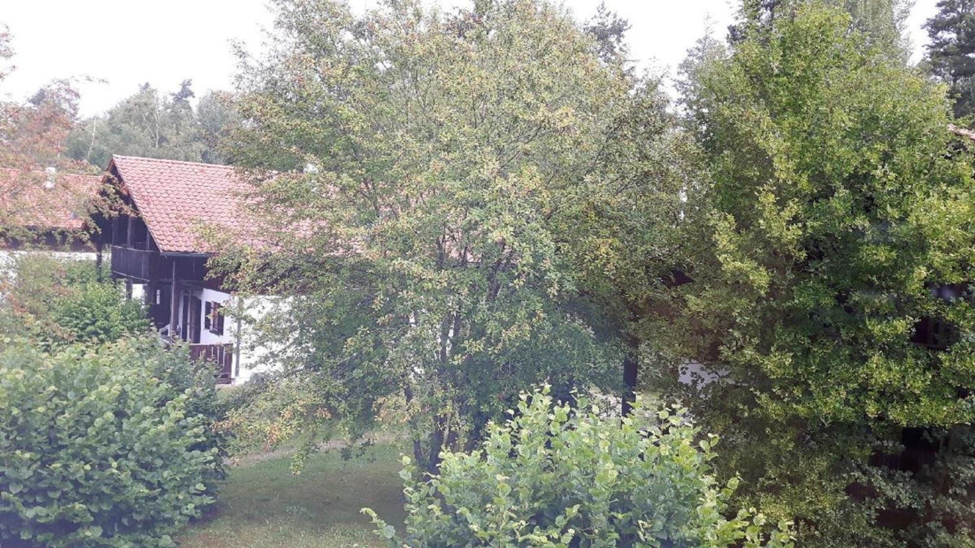 Ferienhaus Virzi - Waldferiendorf Regen Luaran gambar